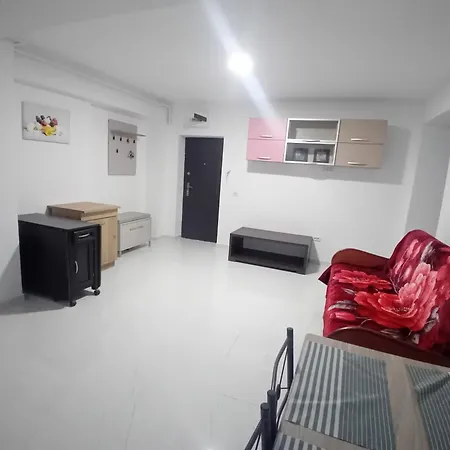 Lejlighed Stefan Năvodari